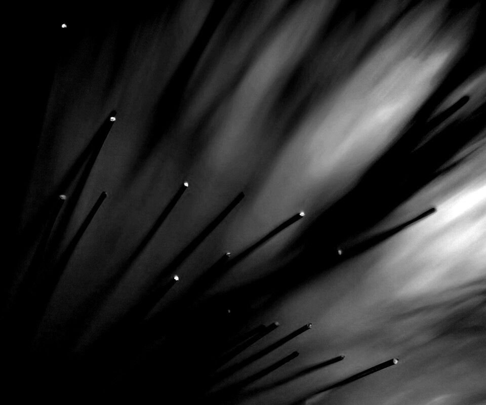 Световоды в рассеяном свете обои