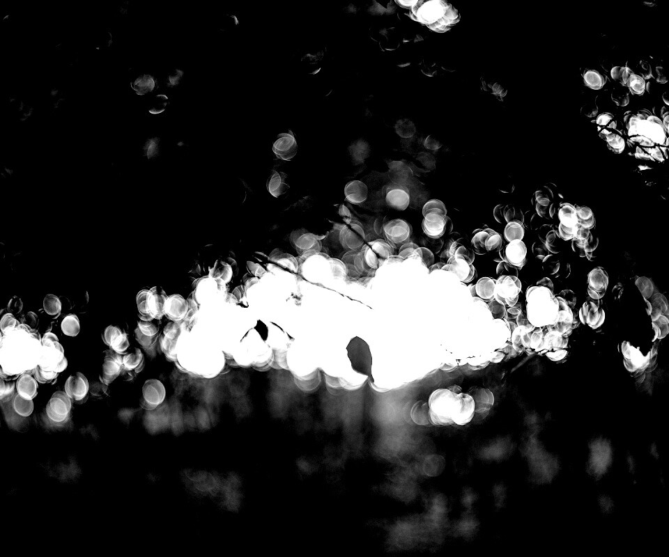 Размытый свет в парке обои