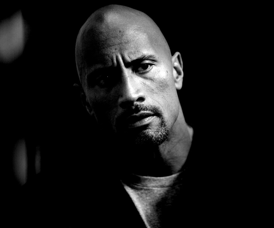 Dwayne johnson, Actor, Bald, Hair, Celebrity обои