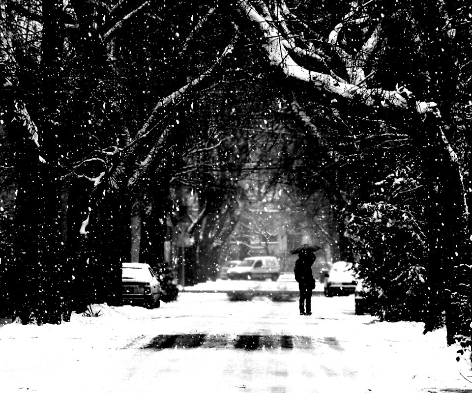 Зимняя улица обои