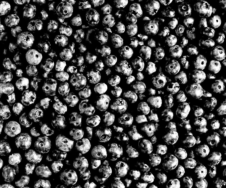 Черника обои