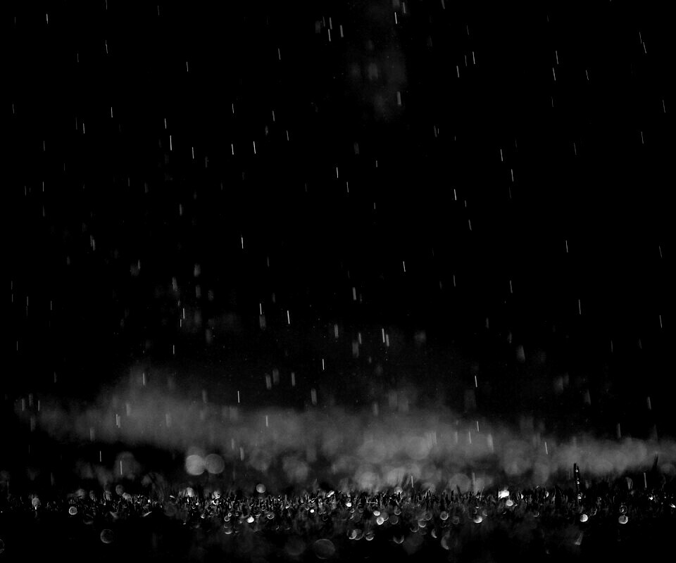 Трава под дождем обои