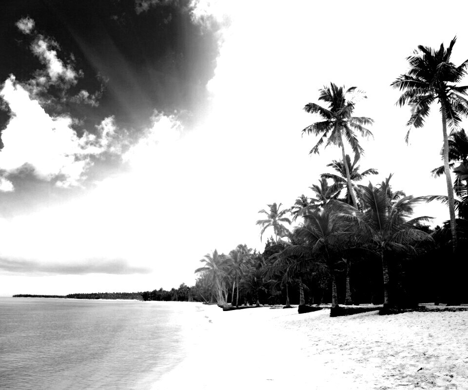 Тропическое побережье обои