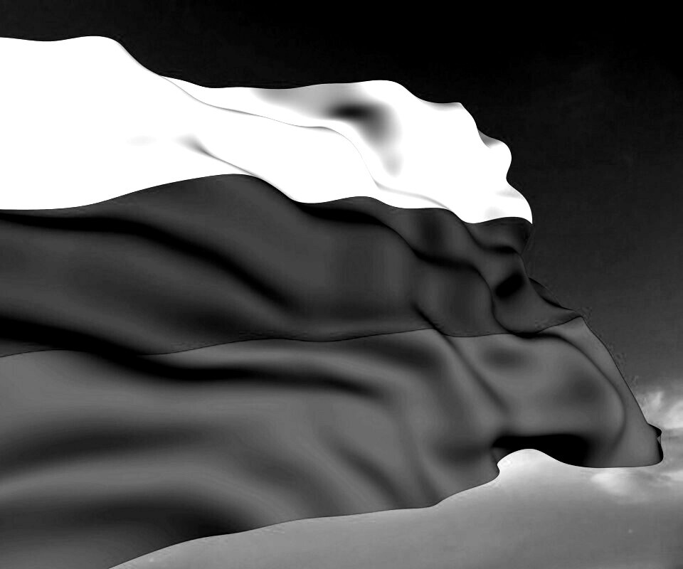 Флаг России обои