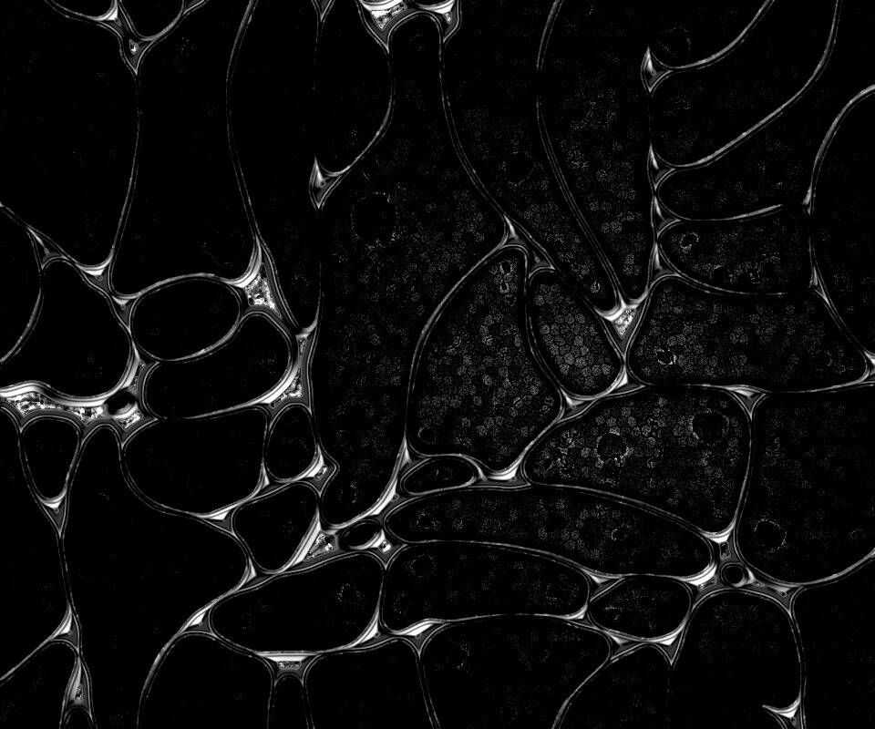 Абстрактные обои обои