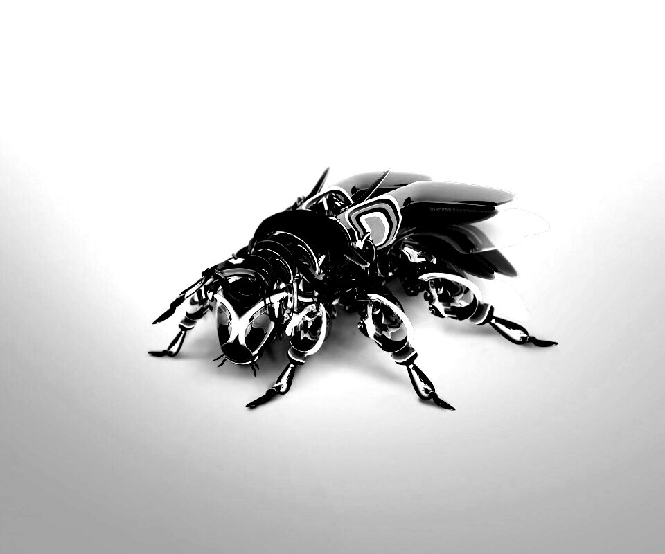 Кибер муха обои