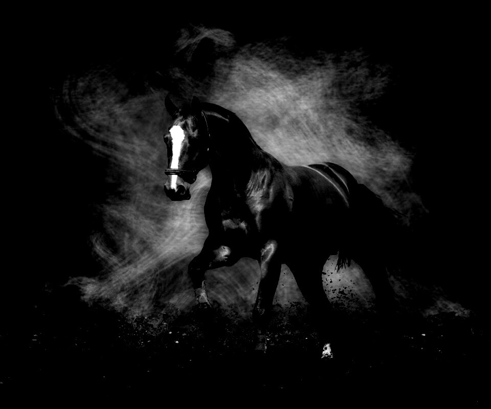 Лошадь обои