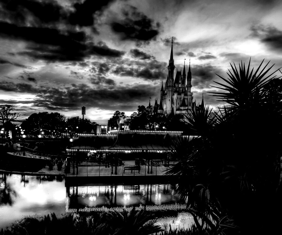 Диснеёленд вечером обои