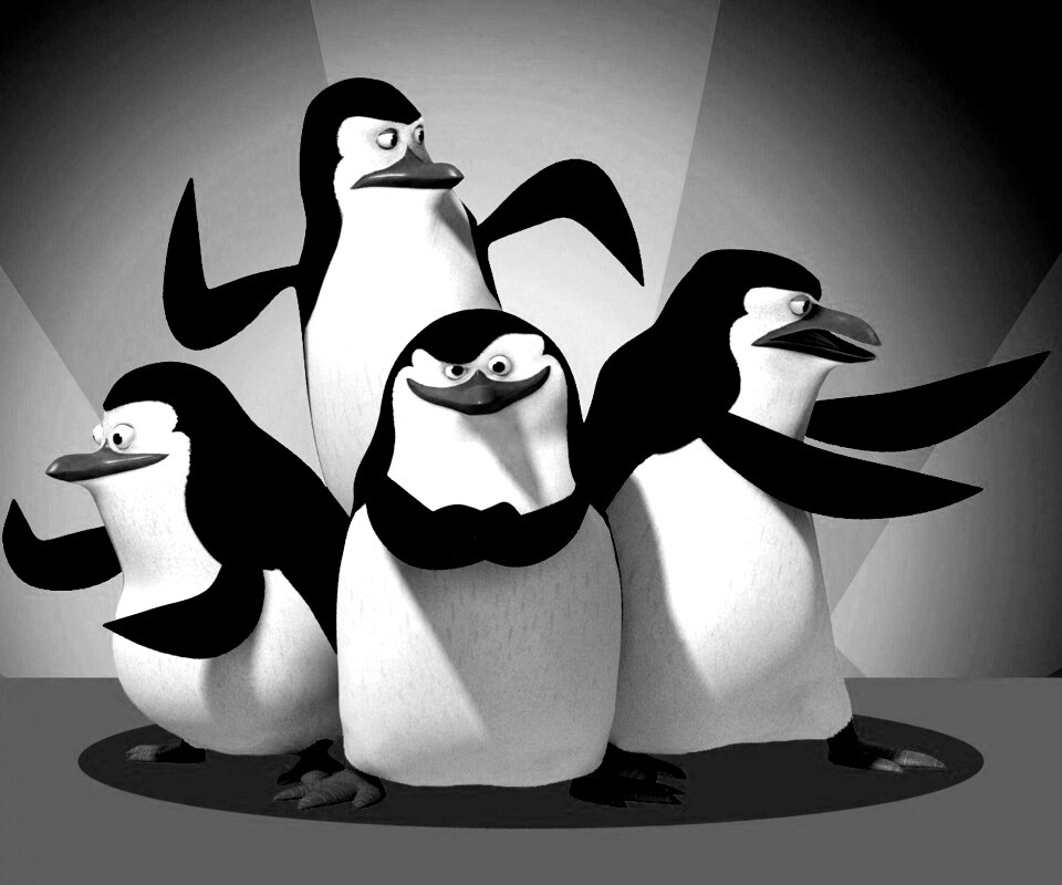 Мадагаскарские пингвины обои