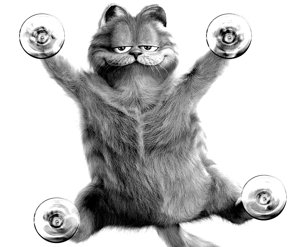 Рыжий проказник обои