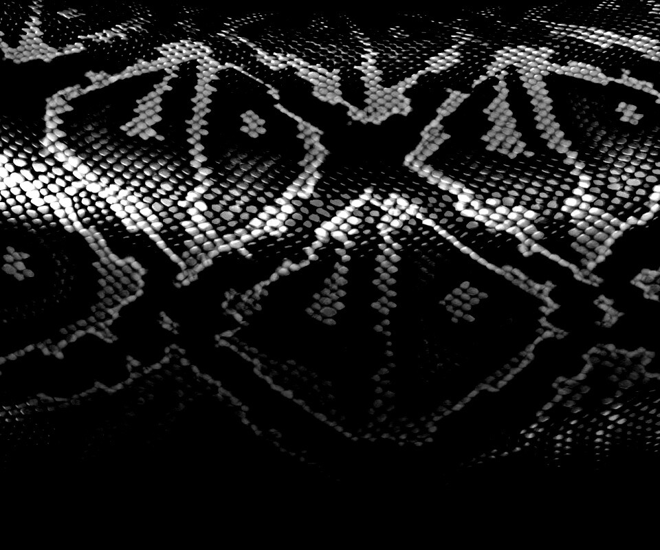 Змеиная кожа обои