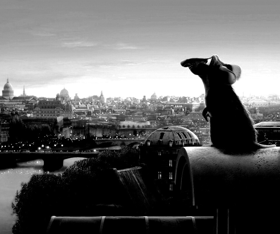 Рататуй на фоне Парижа обои