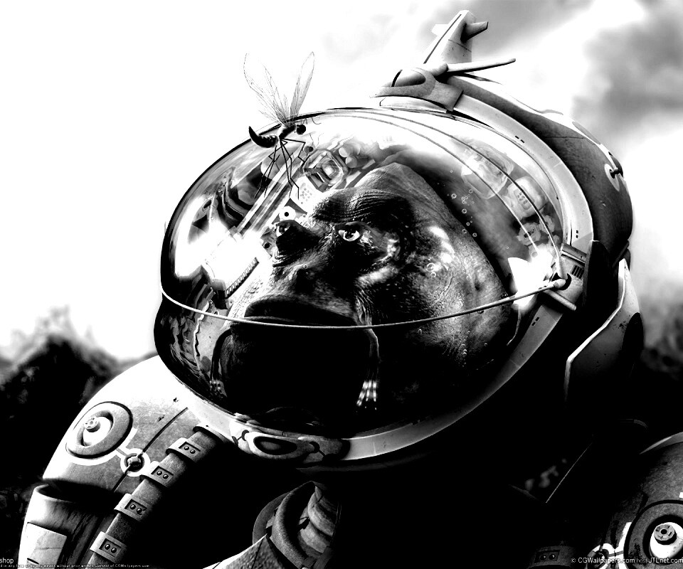 Инопланетянин и стрекоза обои