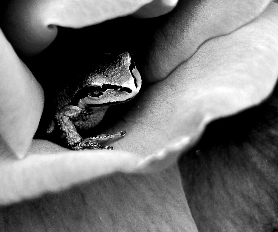 Куда это ты смотришь? обои