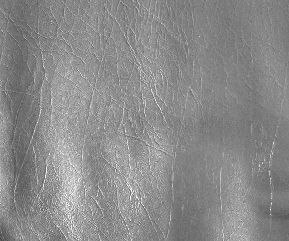 Текстура кожи обои