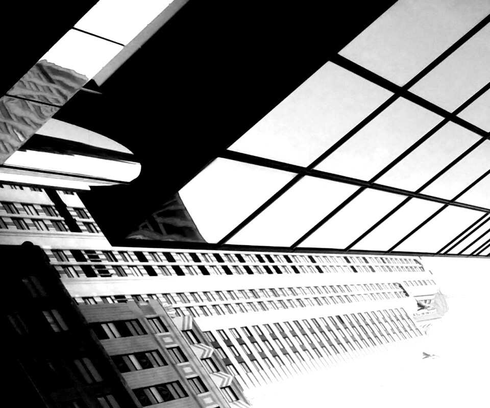 Взгляд вверх обои