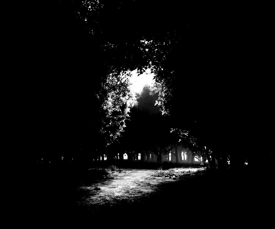 Сумерки в волшебном лесу обои