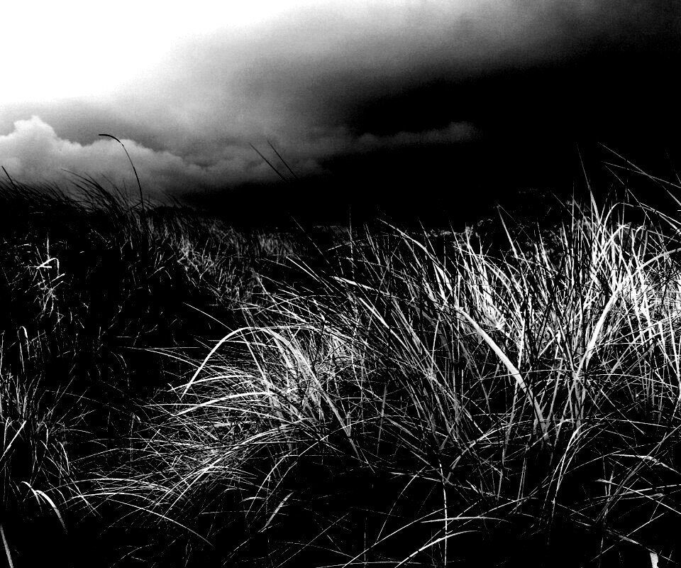 В ожидании шторма обои