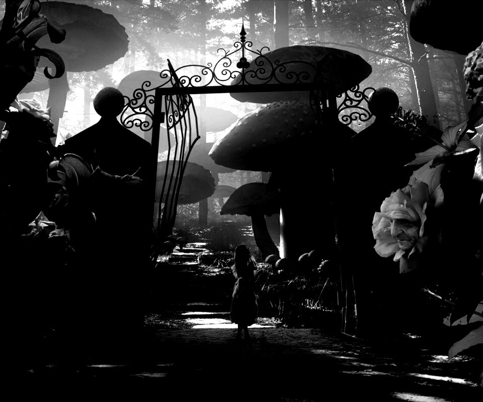 Алиса в стране чудес среди живых цветов обои