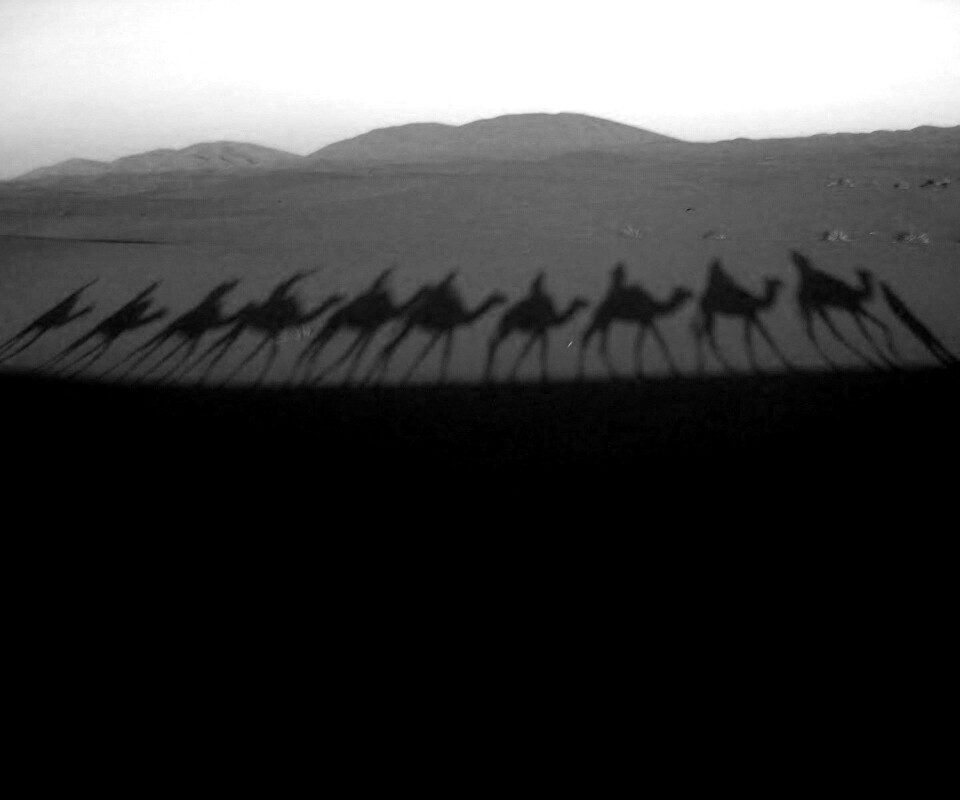 Караван обои