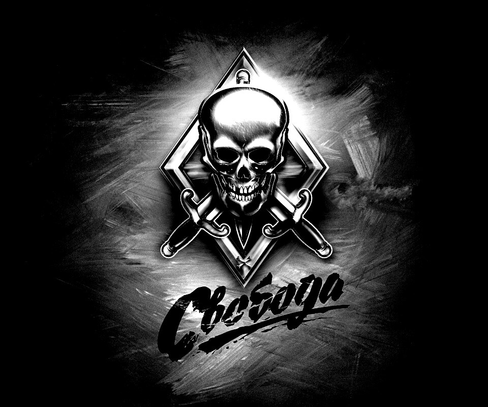 Группировка Свобода из STALKER обои