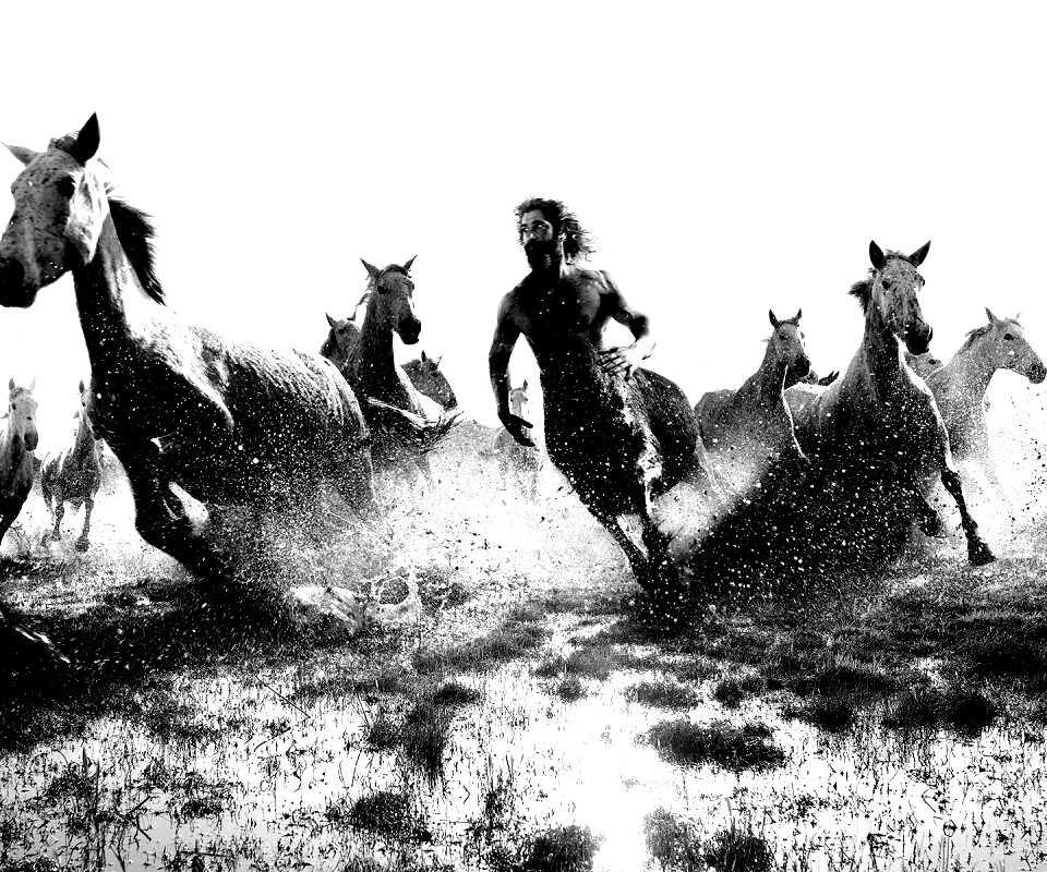 Кентавр обои