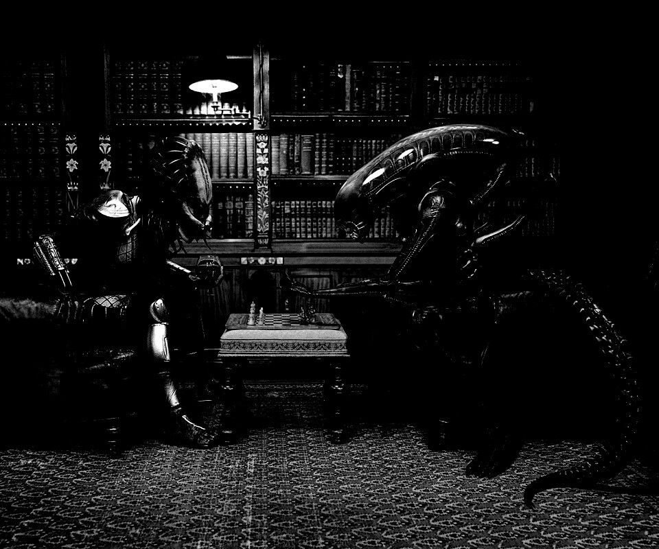 Чужой против хищника в шахматы обои