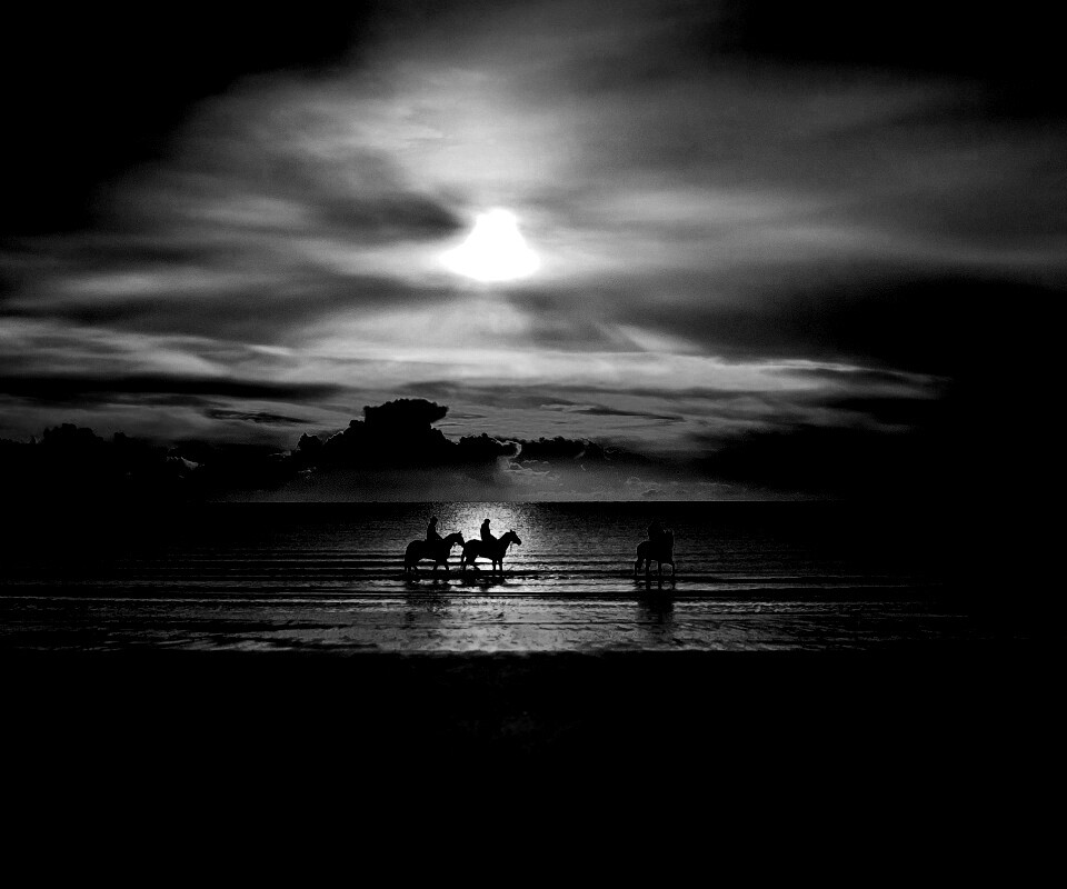 Наездники на закате обои