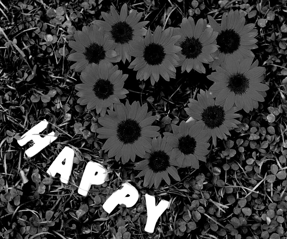 Радость обои