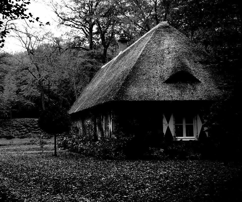 Домик в осеннем лесу обои