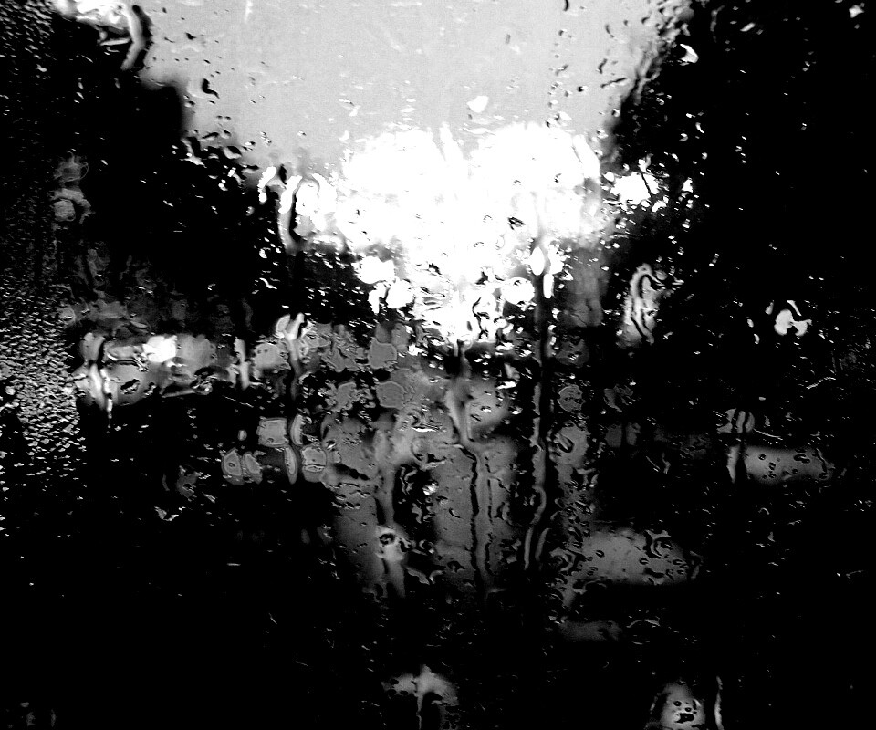 После дождя обои