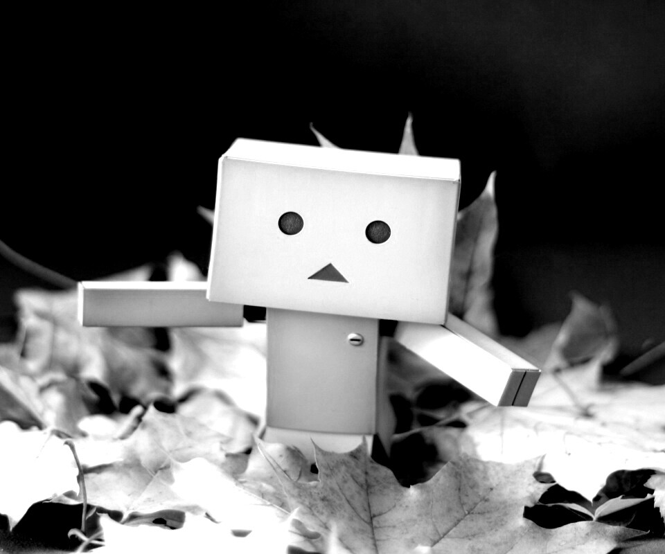  Yotsubato Danbo резвится листьях обои