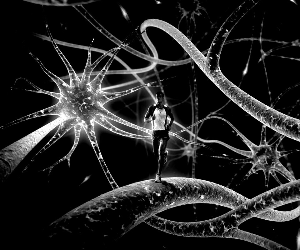 Бег мыслей обои