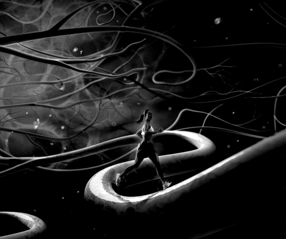 Бег крови обои