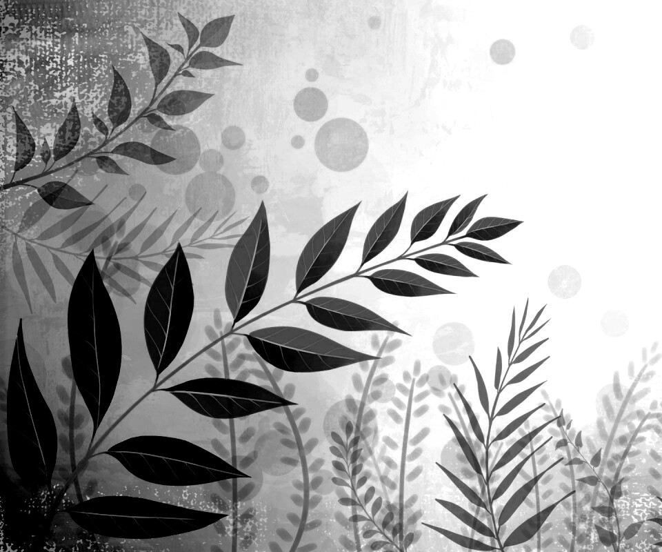 Веточка молодых листьев обои