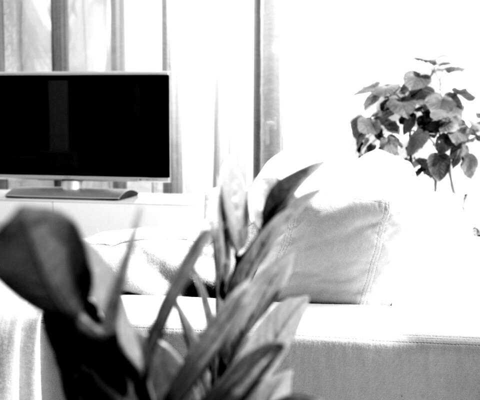 Белая комната обои