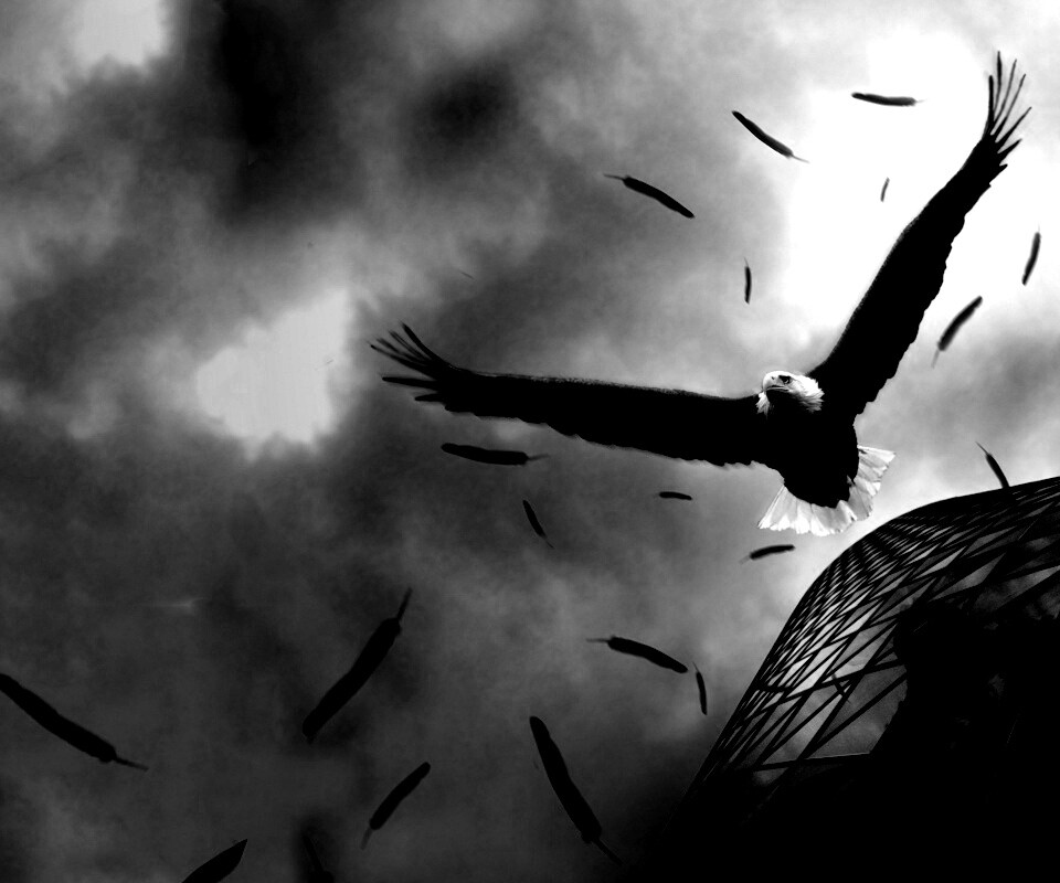 Орлиный полет обои