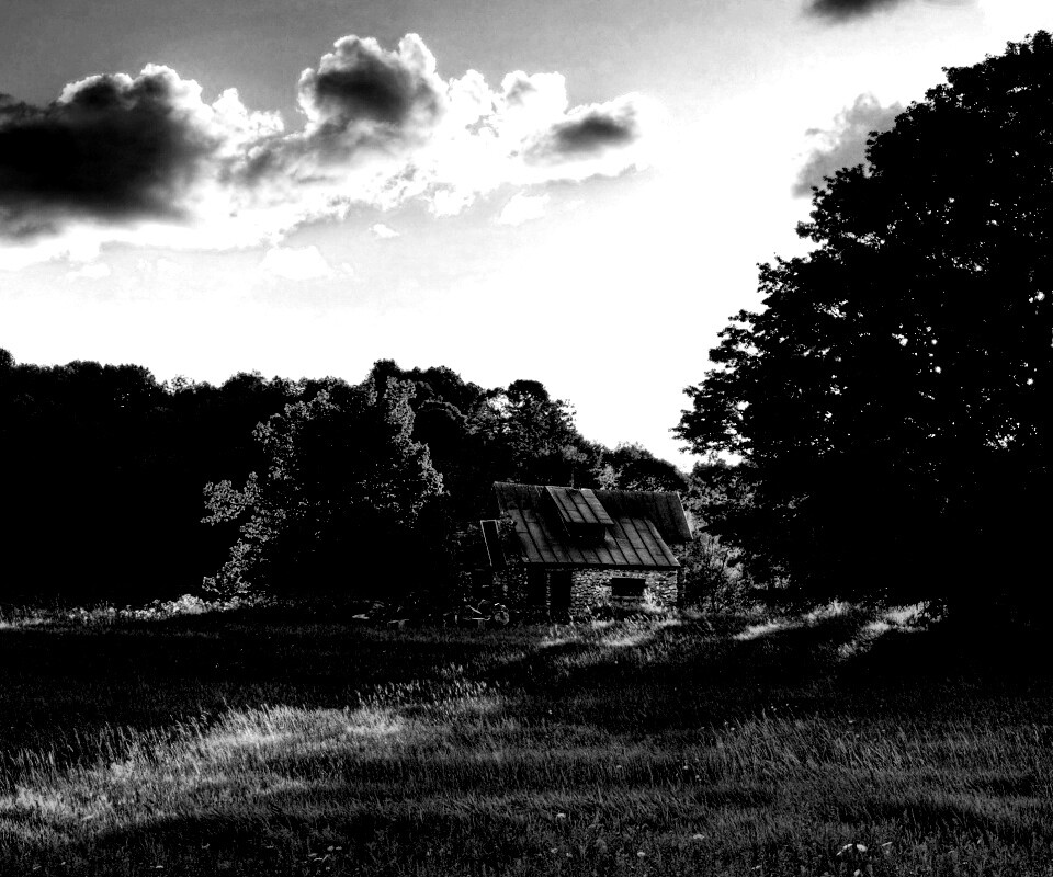 Домик в лесу обои