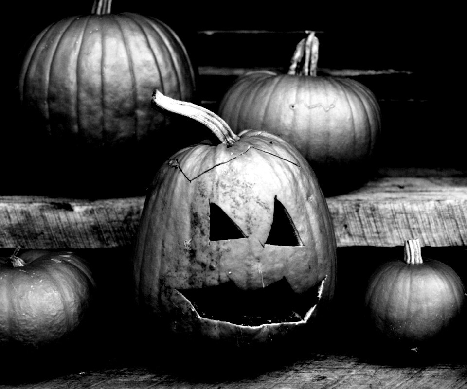 Тыквы на хэллоуин обои