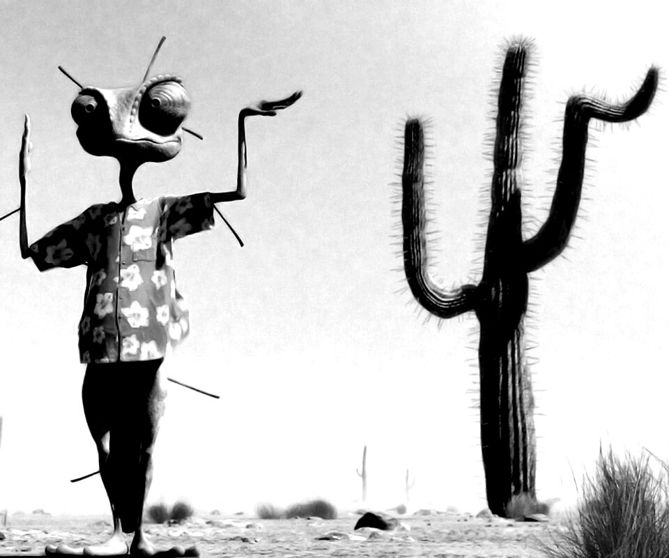 Ранго и кактус обои