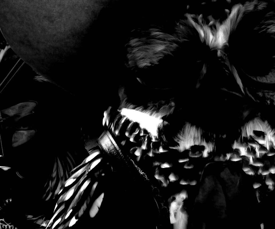 Совы-мариачи из Ранго обои