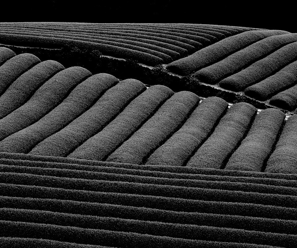 Красивые гряды обои