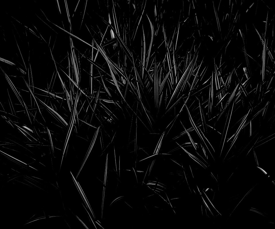 Дикая трава обои