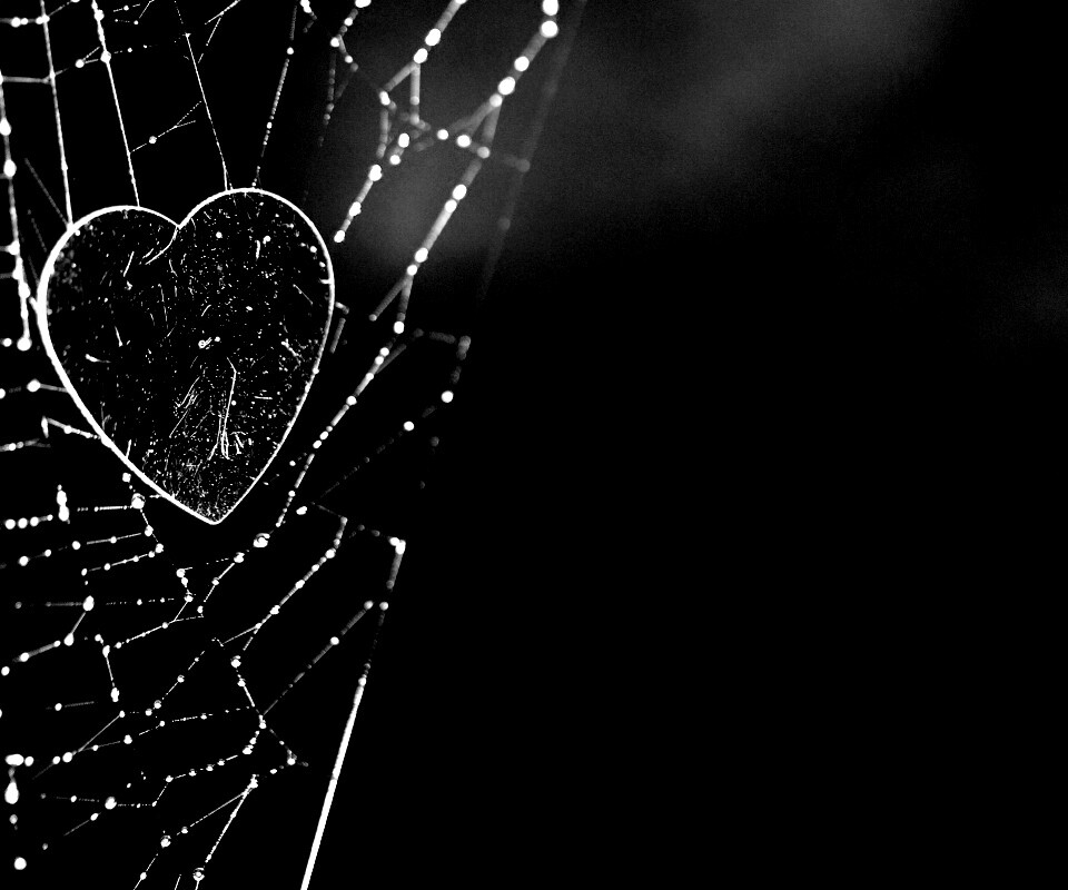 Запутавшаяся любовь.. обои