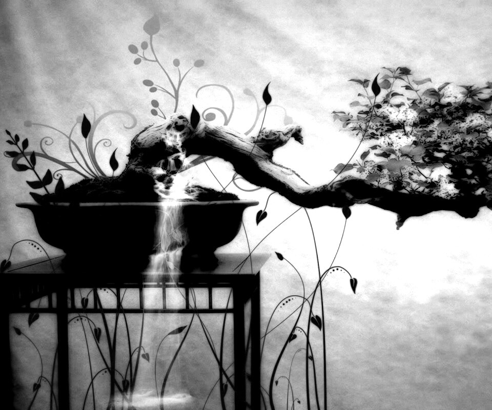 Карликовое дерево обои