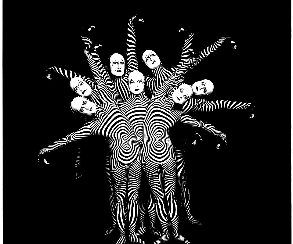 Зеброиды (актеры цирка дю солей) обои