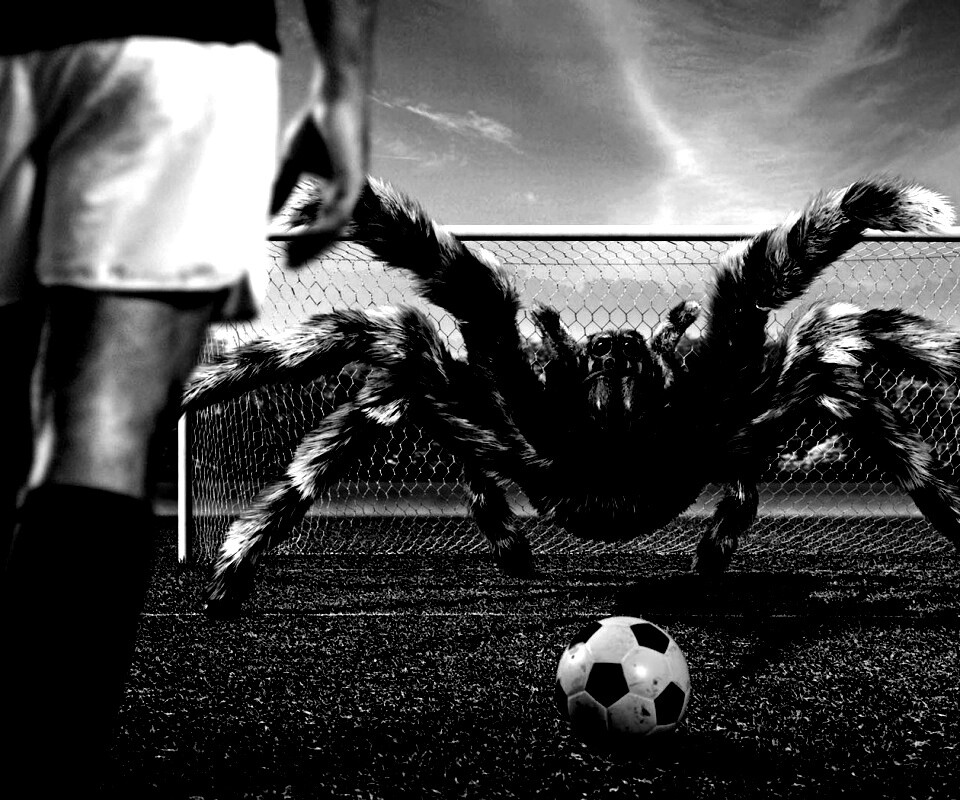 Вратарь обои