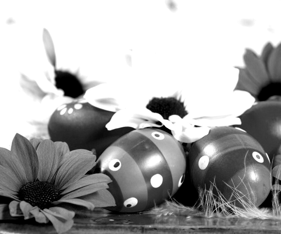 Пасхальный натюрморт обои