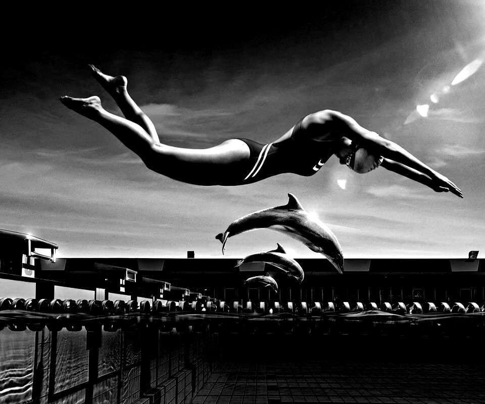 Соревнование обои