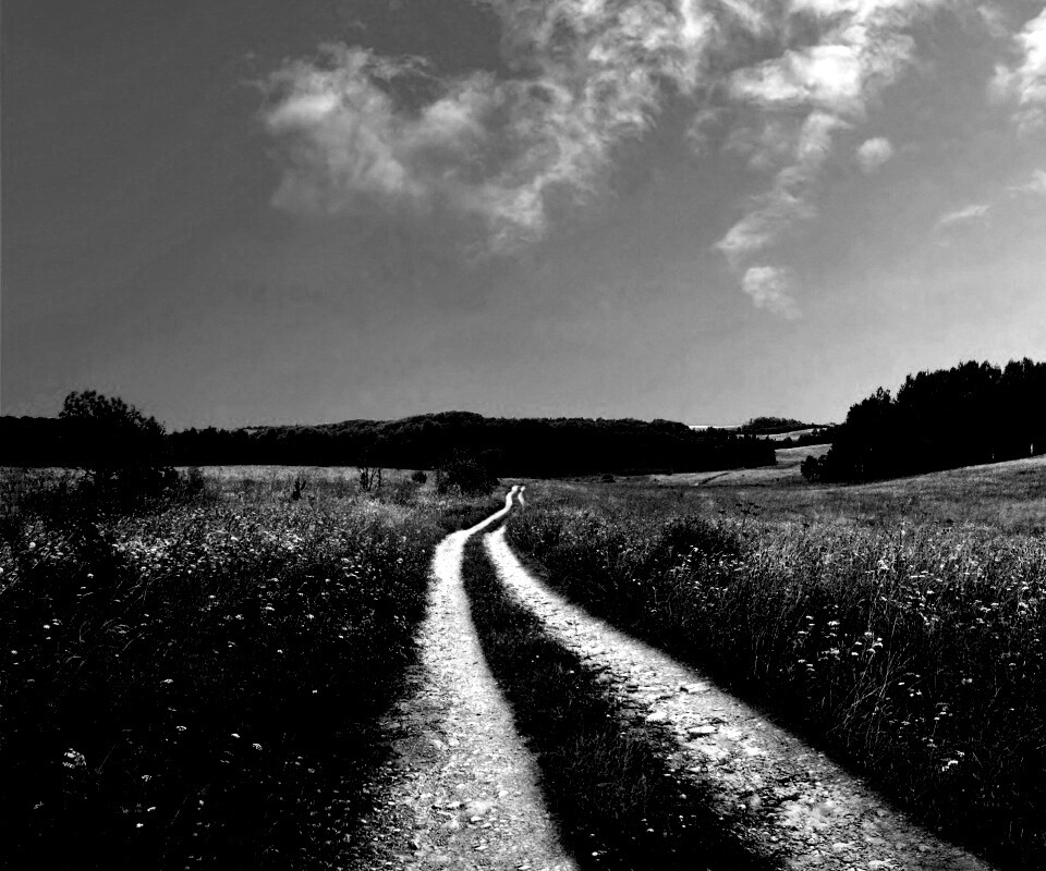 Дорога через луг обои